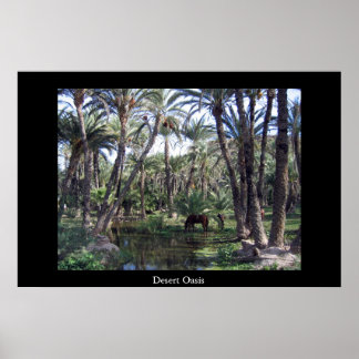 Poster Oasis du désert