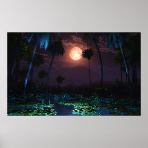 Poster Oasis Lune (Illusion)