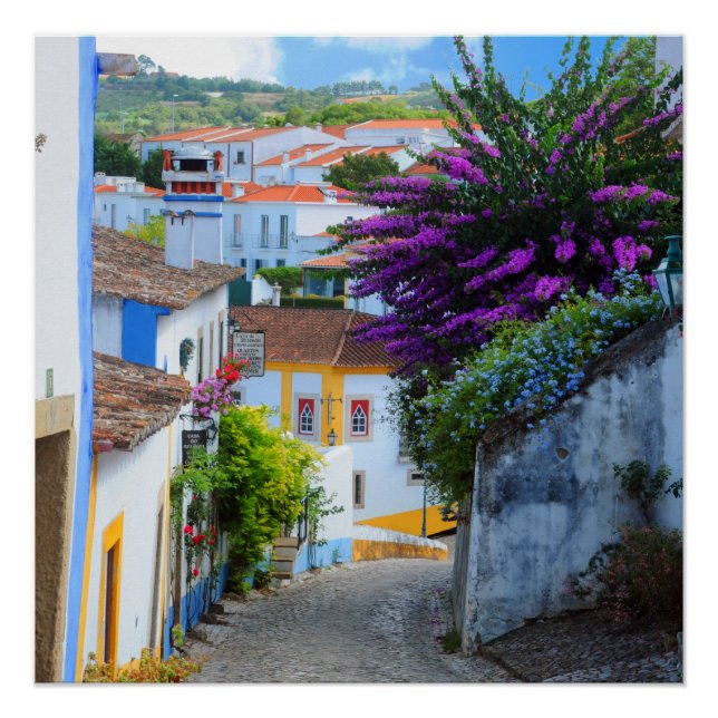 Poster Obidos Flowers, Portugal (Devant)