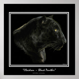 Poster "OBSIDIAN" ~ Black Panther Puma Wildlife Art Print