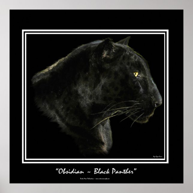 Poster "OBSIDIAN" ~ Black Panther Puma Wildlife Art Print (Devant)