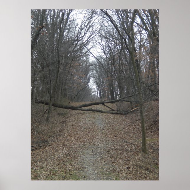 Poster Obstacle sur la route (Devant)