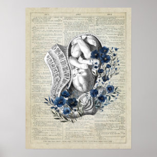 Poster Obstétrique Baby in Womb Anatomie Bleu Floral Art