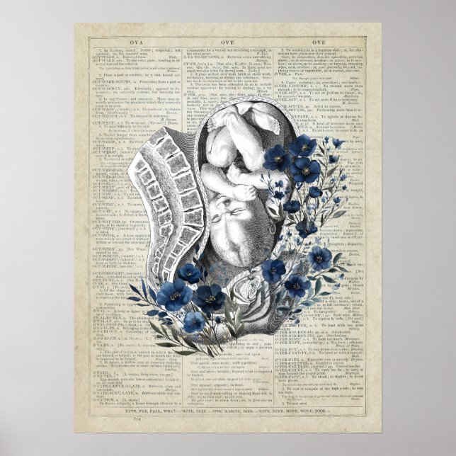 Poster Obstétrique Baby in Womb Anatomie Bleu Floral Art (Devant)
