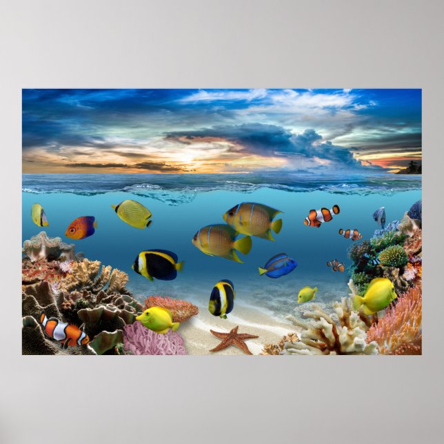 Poster Océan Corail Reef Poisson tropical (Devant)