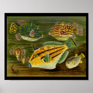 Poster Ocean Fish Yellow Green Blue Art Imprimer