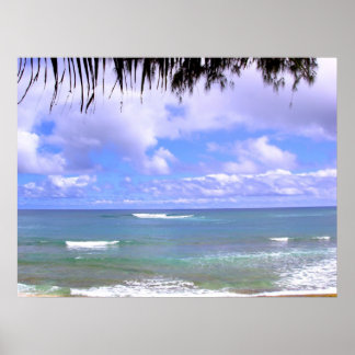 Poster Océan hawaïen