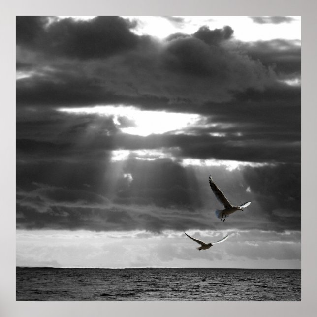 Poster Océan noir et blanc (Devant)