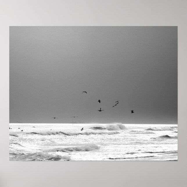 Poster Océan noir et blanc Horizon & Pélicans Brown 16x20 (Devant)
