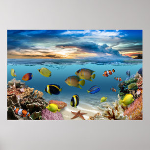Poster Ocean Underwater Coral Reef Tropical Fish