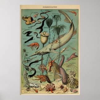 Poster Oceanografia Adolphe Millot Le Larousse Pour Tous