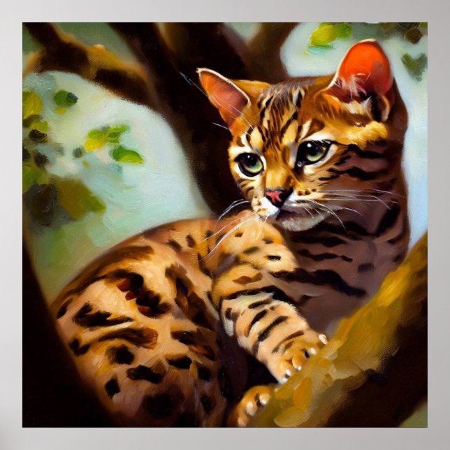 Poster Ocicat Cat (Devant)