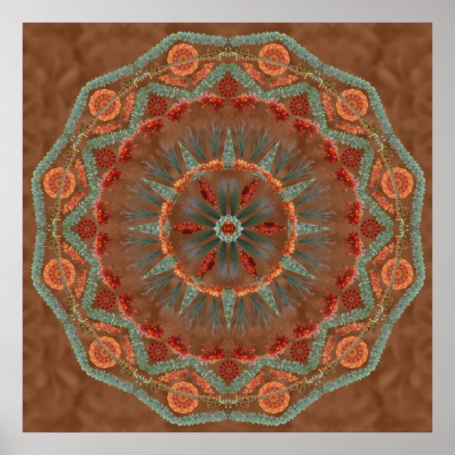 Poster Ocotillo Mandala 1 (Devant)