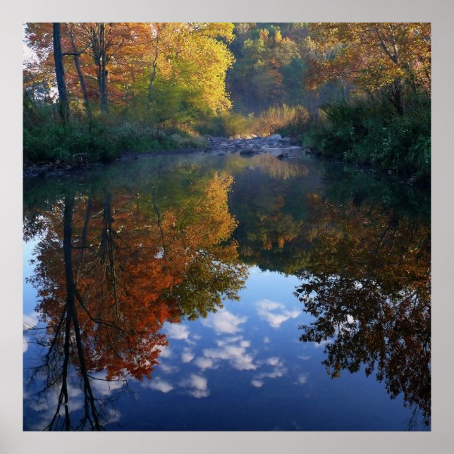 Poster Octobre Au Stream (Devant)