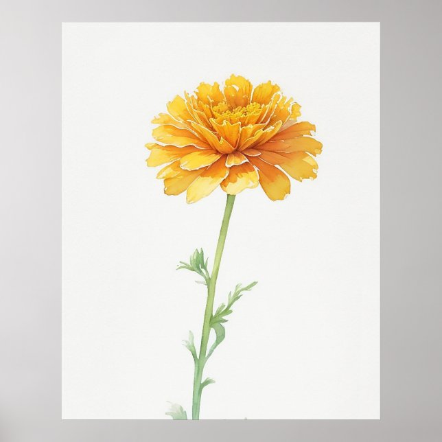 Poster Octobre Marigold Fleur de naissance (Devant)