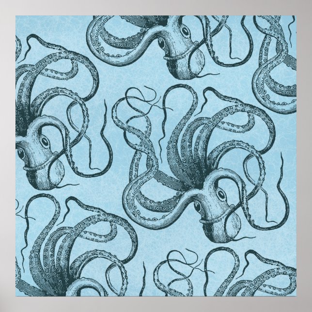 Poster Octopus bleu (Devant)