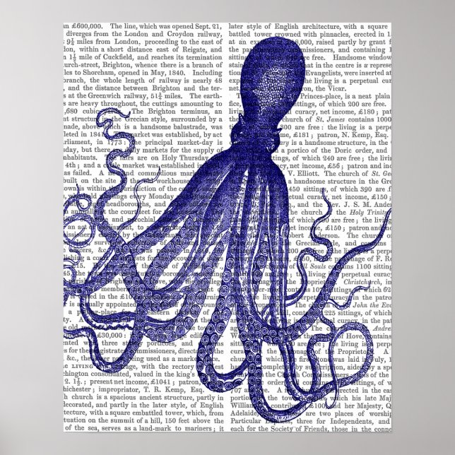 Poster Octopus bleu (Devant)
