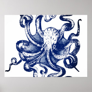 Poster Octopus bleu