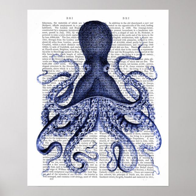 Poster Octopus bleu (Devant)