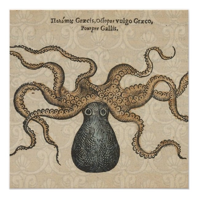 Poster Octopus Kraken Illustration Vintage (Devant)