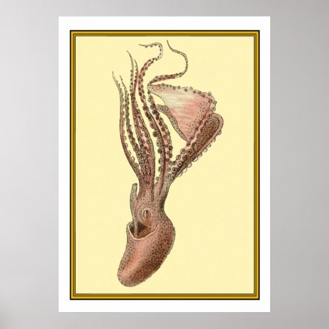Poster Octopus vintage (Devant)