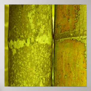 Poster Ode au bambou