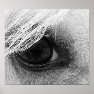 Poster Oeil de cheval en noir et blanc