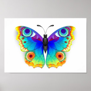 Poster Oeil de paon arc-en-ciel