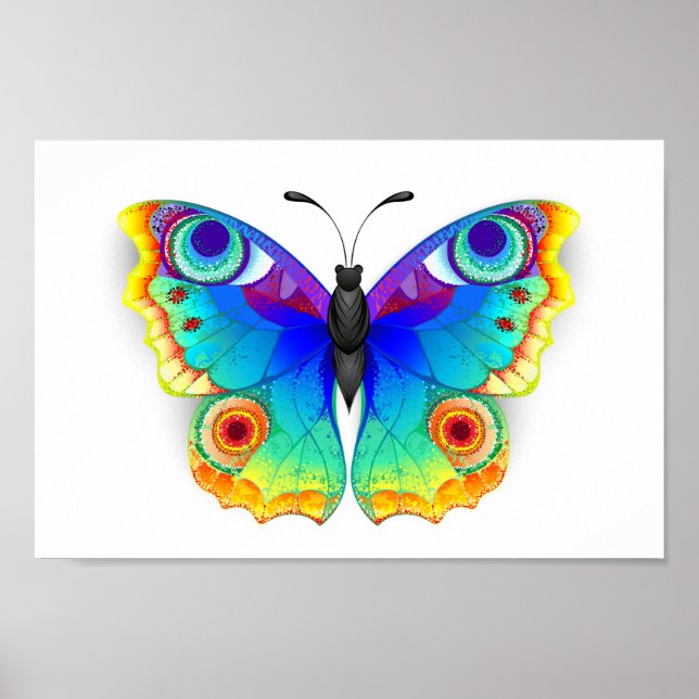 Poster Oeil de paon arc-en-ciel (Devant)