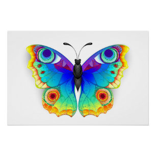 Poster Oeil de paon arc-en-ciel