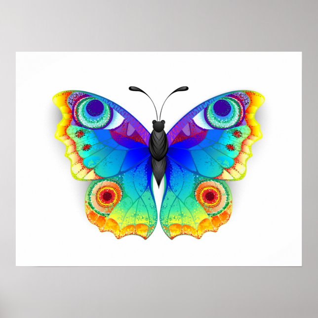 Poster Oeil de paon arc-en-ciel (Devant)