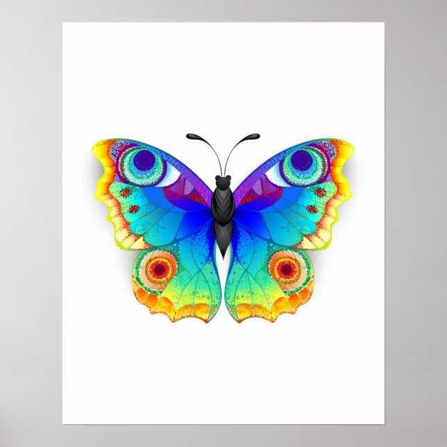 Poster Oeil de paon arc-en-ciel (Devant)
