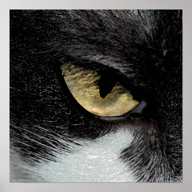 Poster Oeil du tigre (Devant)