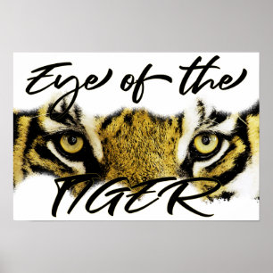 Poster Oeil du tigre, tigre, motivation, inspiration