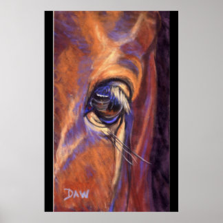 Poster Oeil d'un Thoroughbred