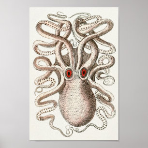 Poster OEil rouge Céphalopode de mer Créatures Art Imprim