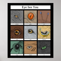 Oeil Vous Voir Animal Pun, Oeil animal