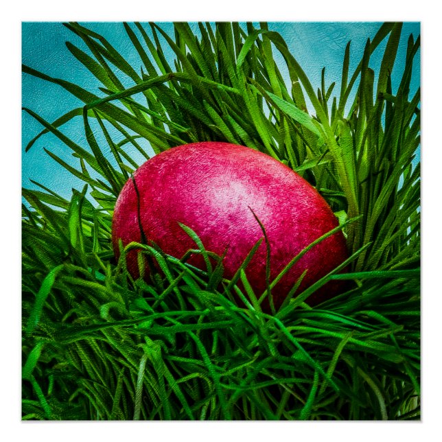 Poster OEuf de Pâques rouge dans l'herbe (Devant)