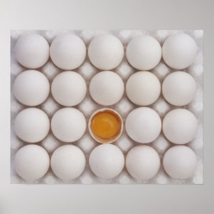 Poster Oeufs