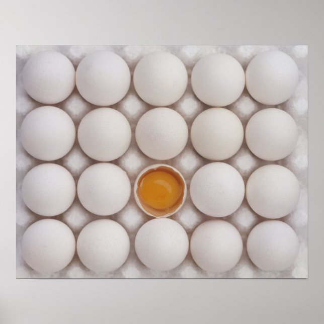 Poster Oeufs (Devant)