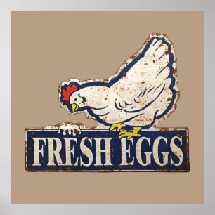 Poster oeufs frais