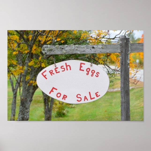Poster Oeufs frais à vendre dans le Vermont (Devant)
