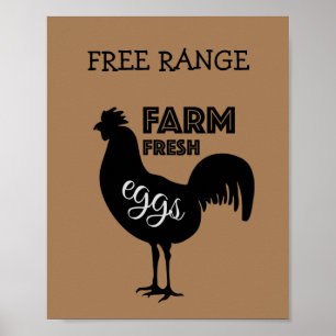 Poster OEufs frais de ferme à gamme libre