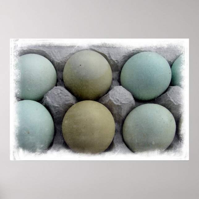 Poster Oeufs verts (Devant)