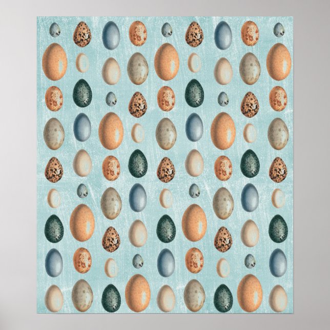 Poster Oeufs vintages (Devant)
