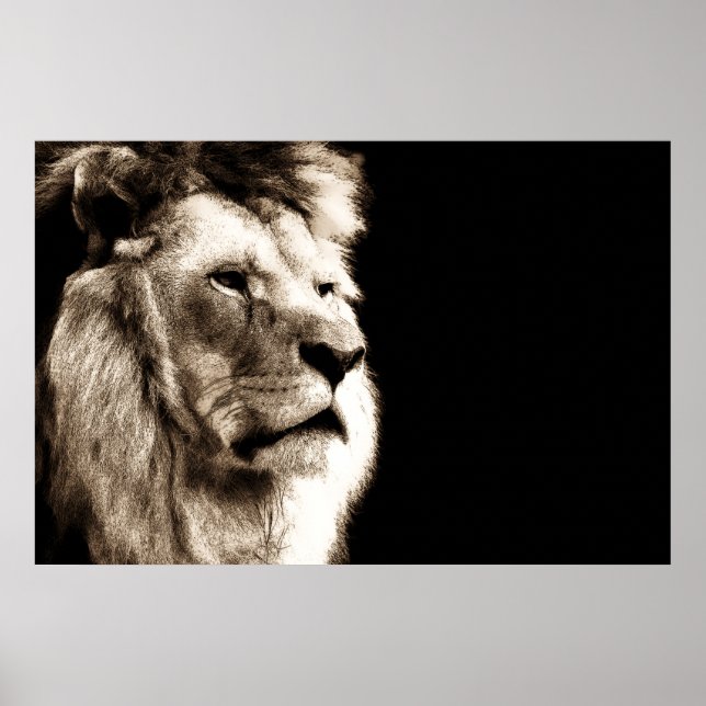 Poster OEuvre artistique de Sepia Lion Animal (Devant)