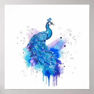 Poster Œuvre d'art à l'aquarelle Paon Coloré