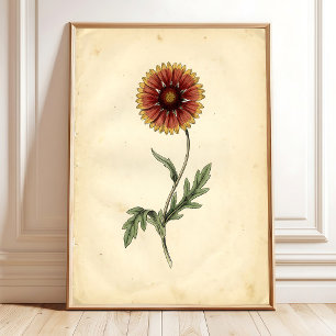 Poster Œuvre d'art botanique vintage sur mur