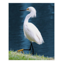 Œuvre d'art murale d'aigrette minimaliste nature c