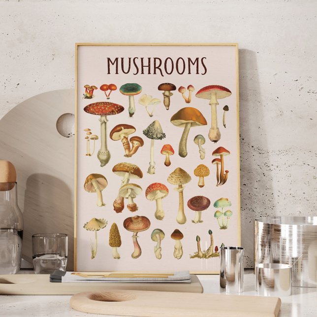 Poster Œuvre d'art murale de graphique de champignons vin (In situ in kitchen)